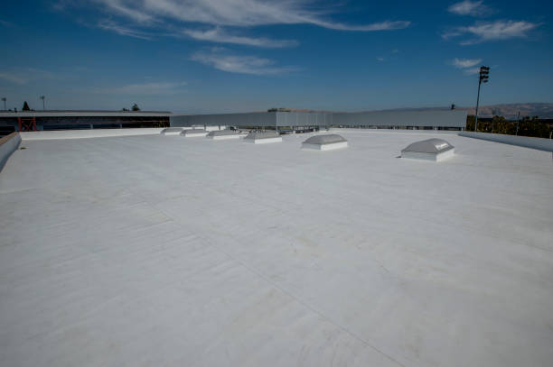 Trusted Penngrove, CA Roofing Services Experts